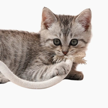 Cat Bite Rope - PURRVANA -  Toys