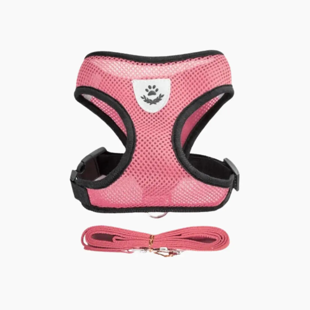 Cat Harness with Leash - PURRVANA -  Accessories