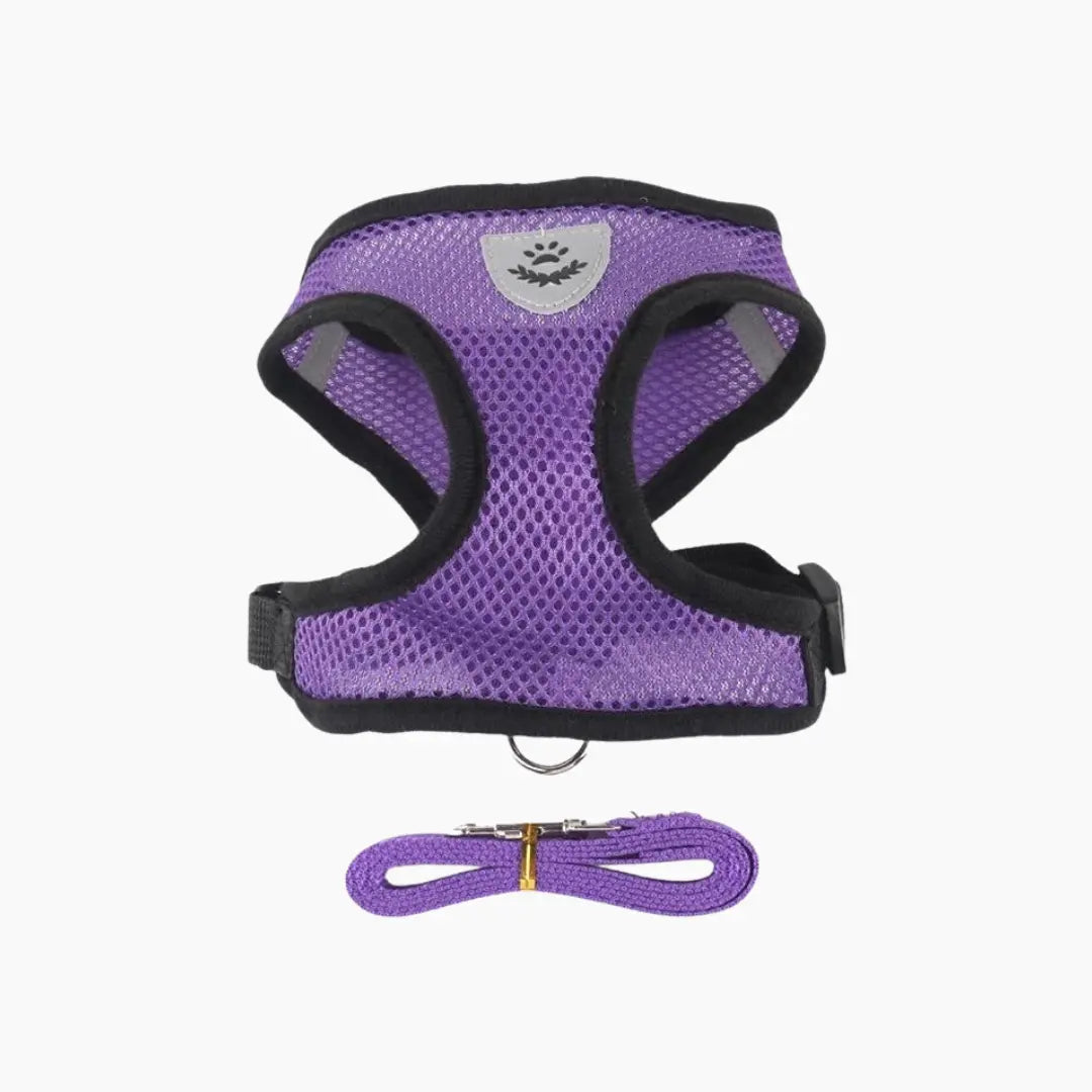 Cat Harness with Leash - PURRVANA -  Accessories