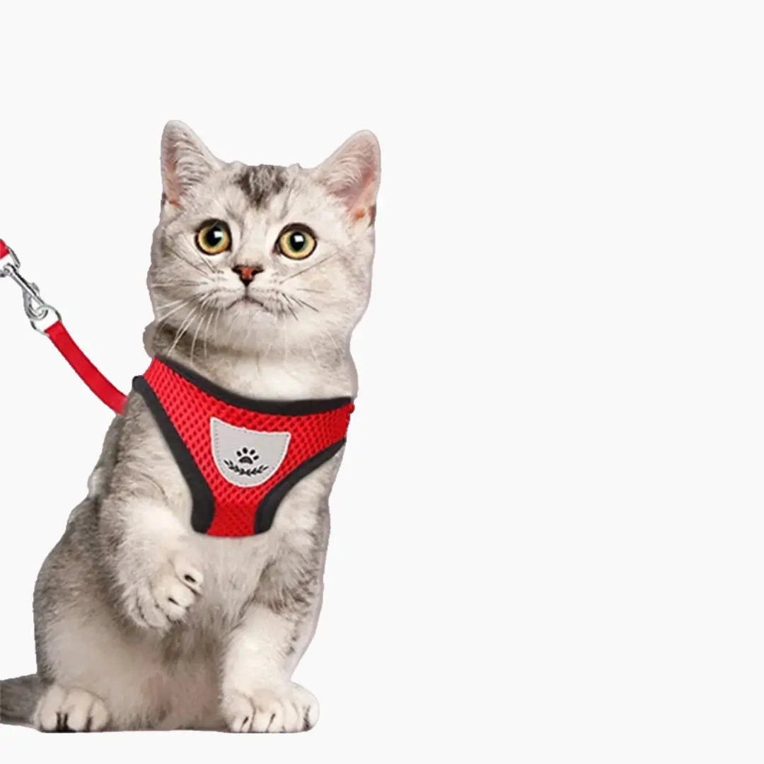 Cat Harness with Leash - PURRVANA -  Accessories