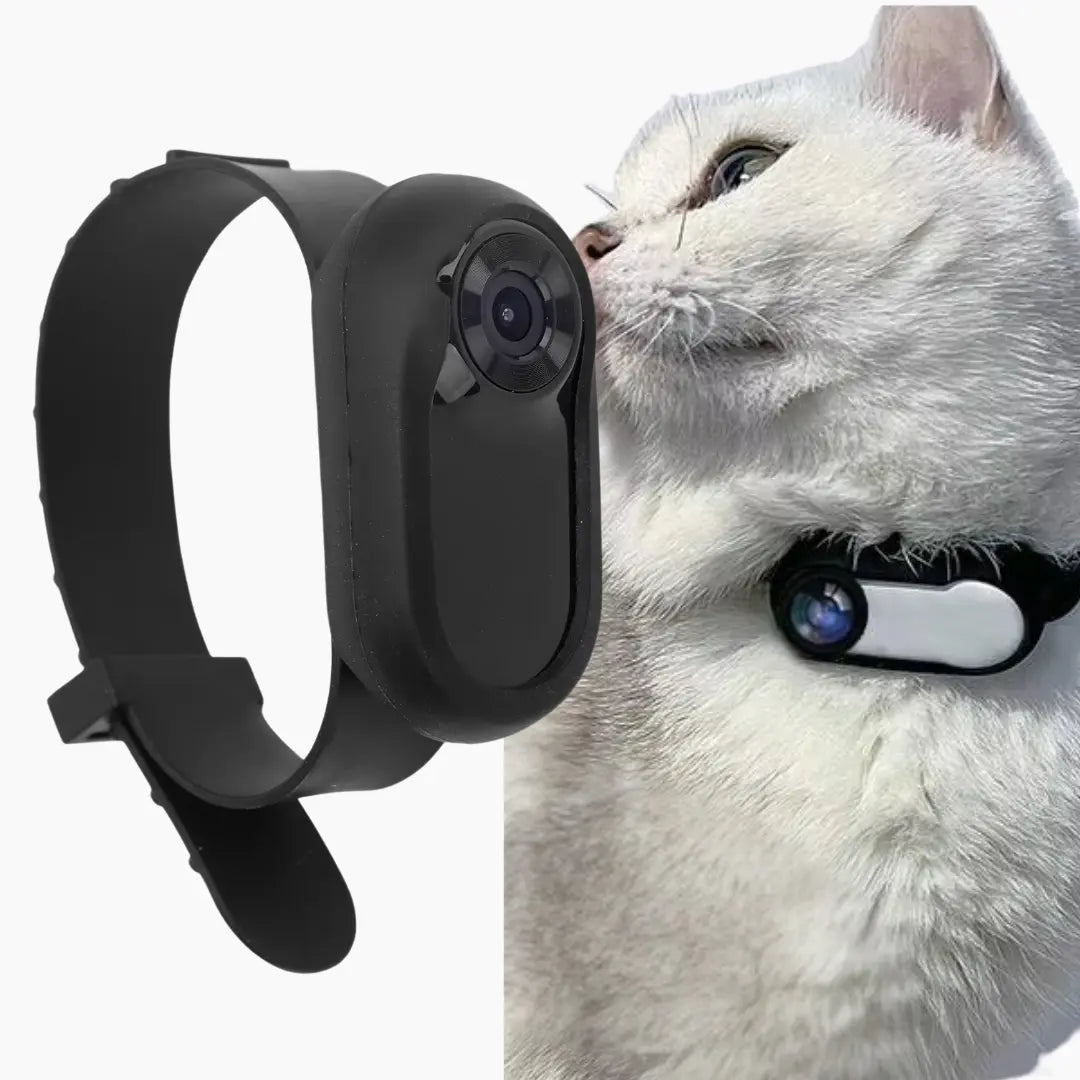 Cat HD Camera Collar