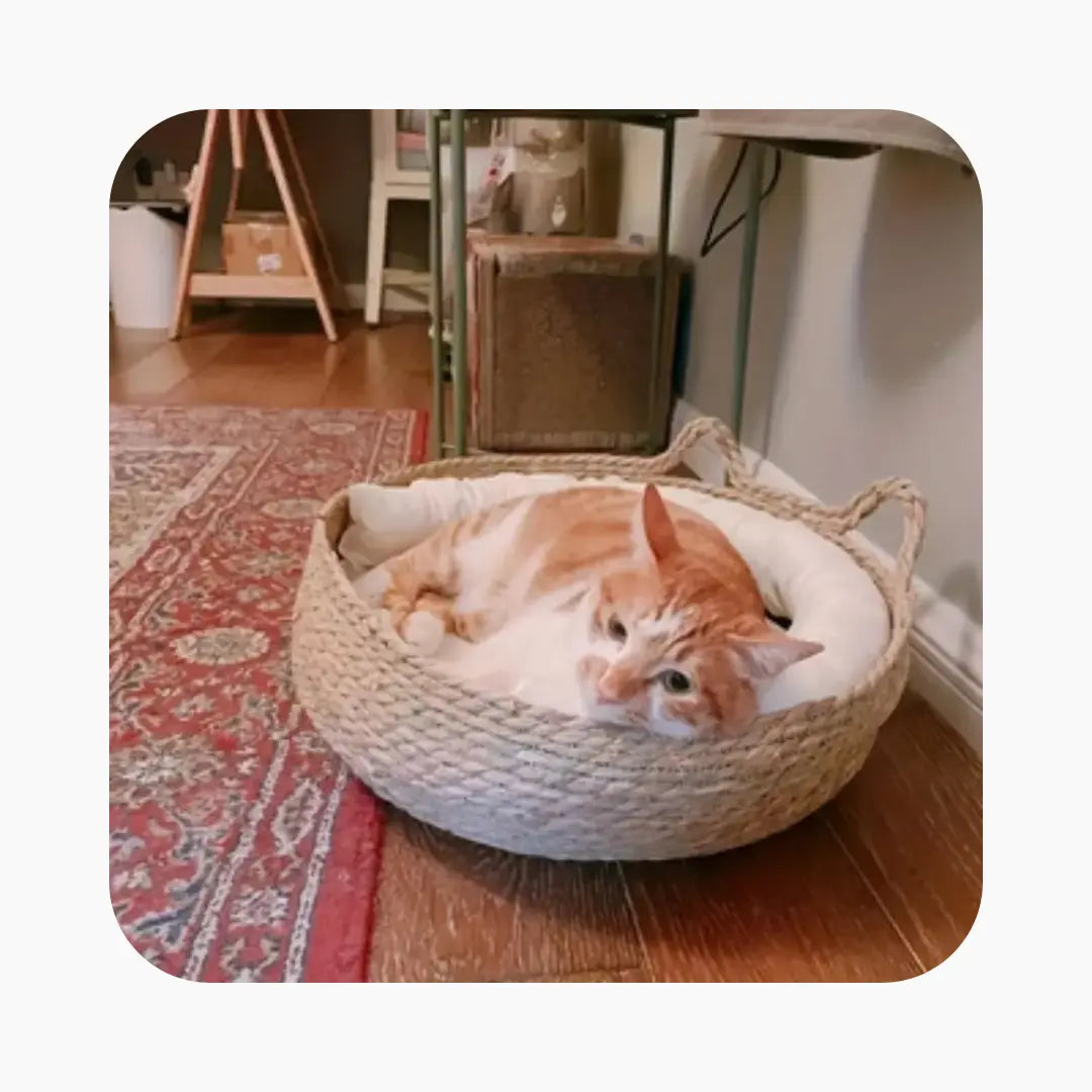 Rattan Cat Bed With Removable Cushion