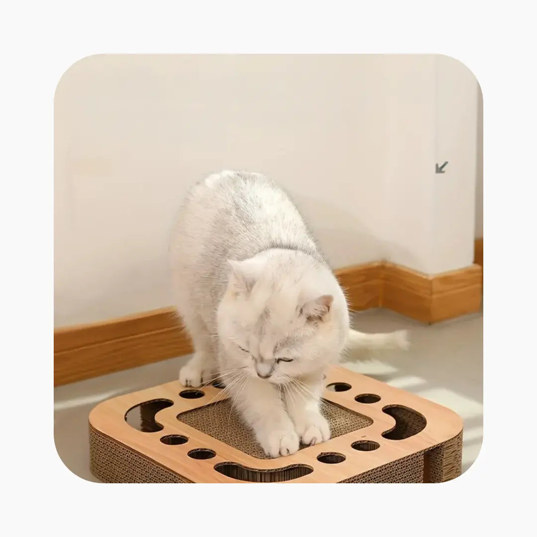 Interactive Cat Scratcher with Teaser Ball