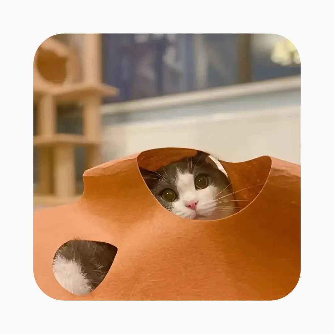 Cat Activity Play Mat