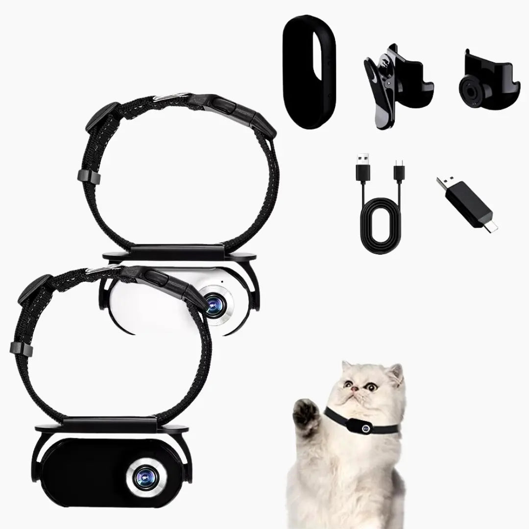 Cat HD Camera Collar