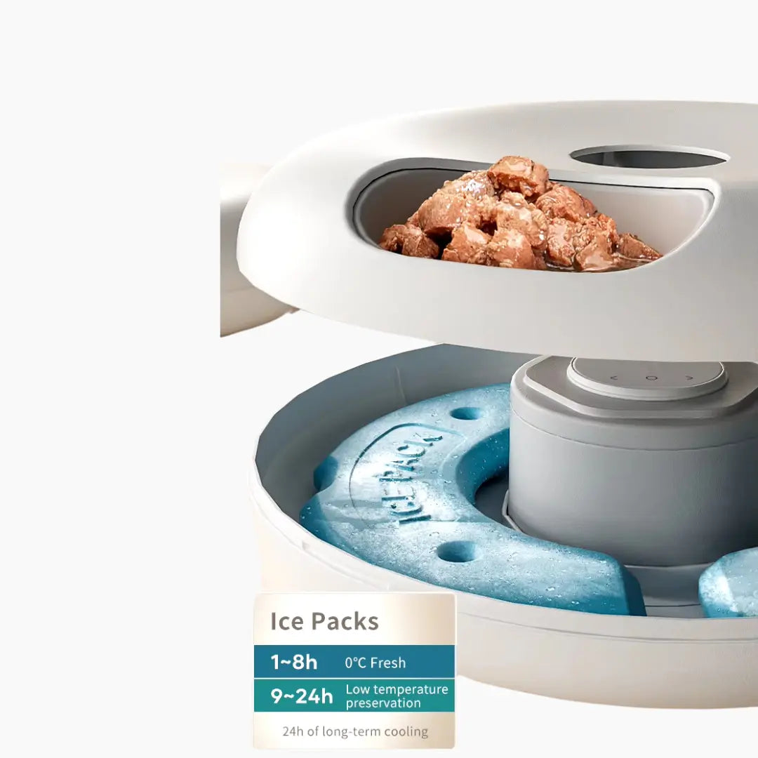 6 Meals Smart Automatic Feeder