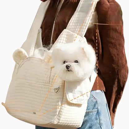 Cats Carrier Backpack