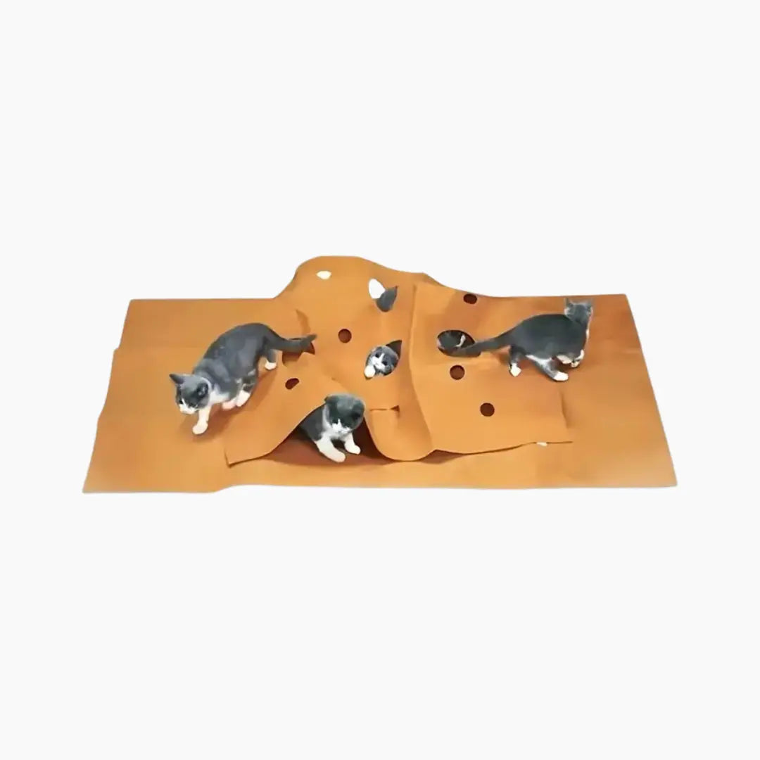 Cat Activity Play Mat